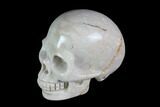 Realistic, Polished Fossil Coral Skull #116571-1